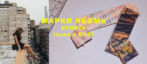 прущая мука Инсар