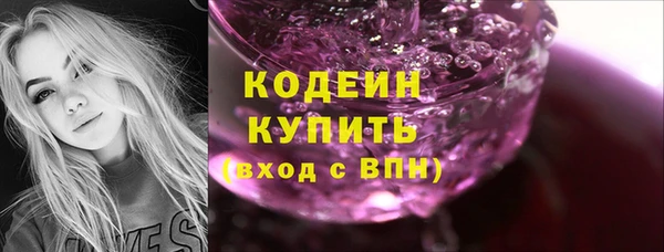 соль ск Инта