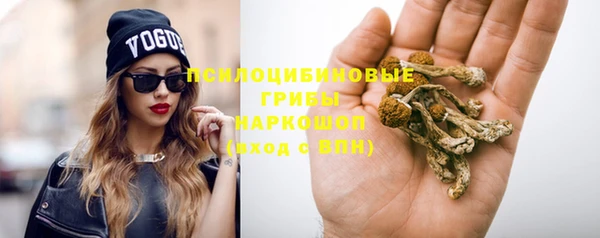 соль ск Инта