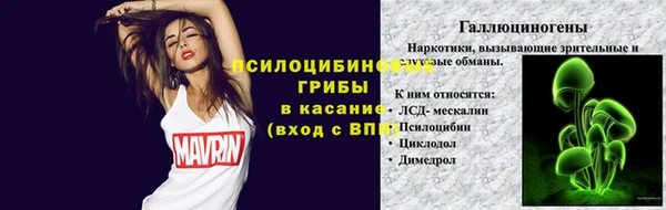 дурь Иннополис