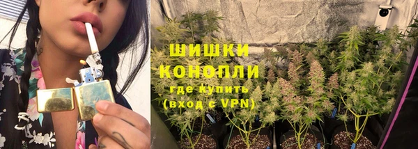 соль ск Инта