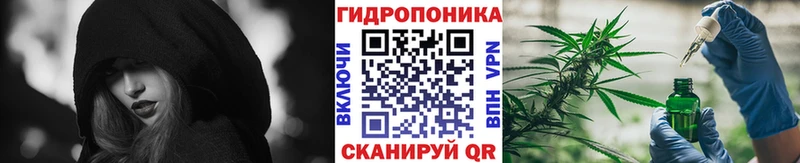 Бошки Шишки AK-47  Купить закладки  Великий Устюг 